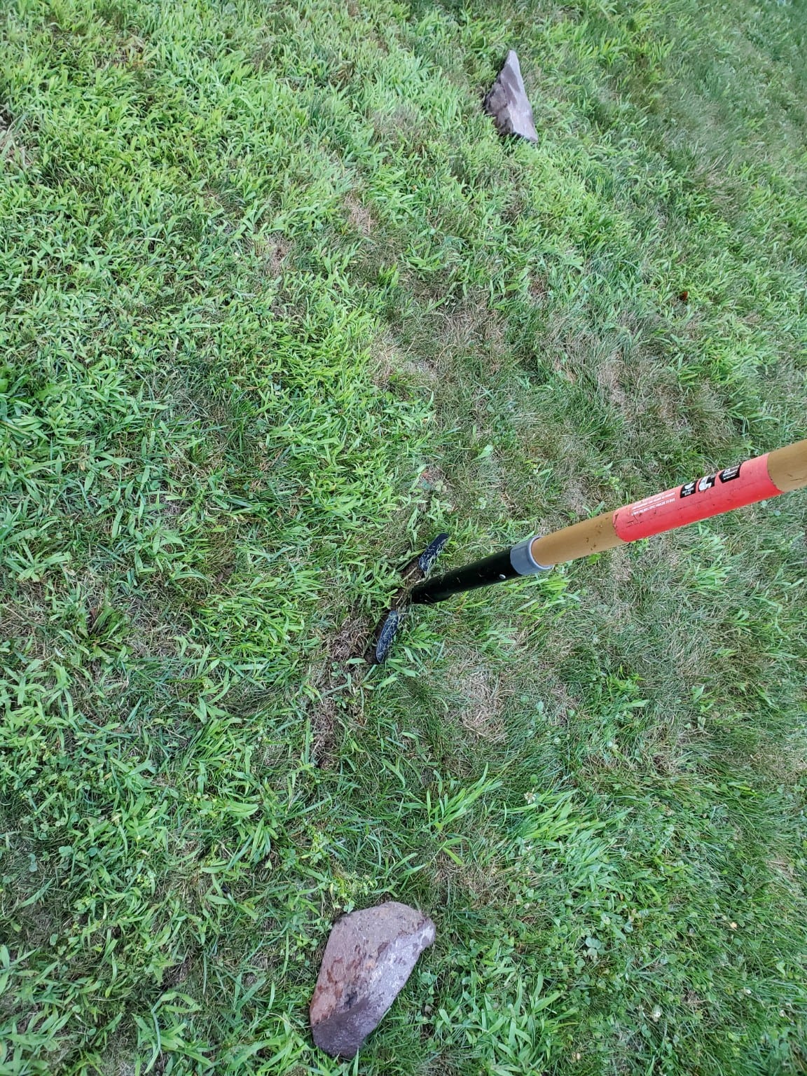 A half-moon edging tool resting in the grass beside two stones used to guide the circle's outline.