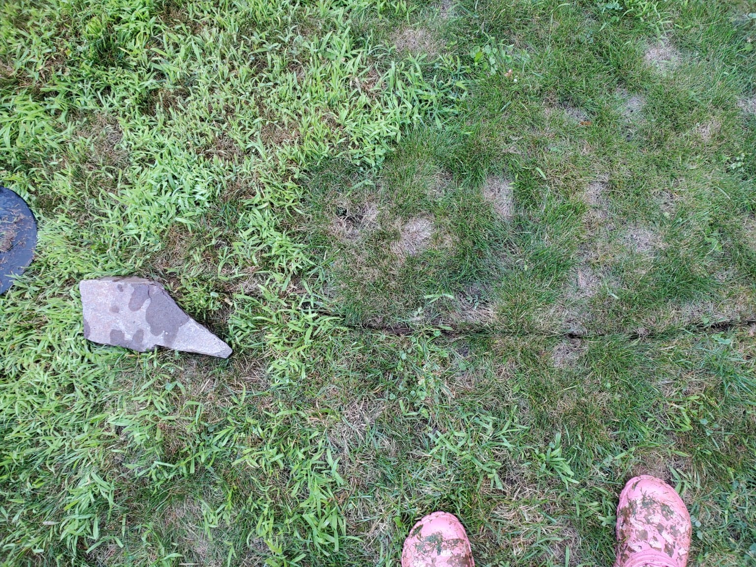 The first cuts of the edging tool tracing the circle's outline into the lawn.